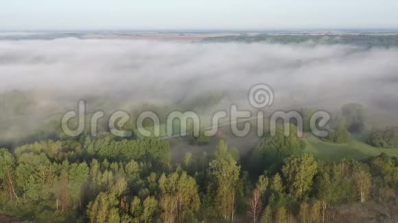 日出后有雾树林和田野的景观鸟瞰视频的预览图