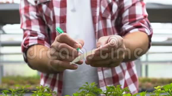 农民写记号笔插入植物盆栽温室工作农业视频的预览图