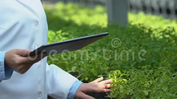 女性生物学专家检查温室植物的打字信息视频的预览图