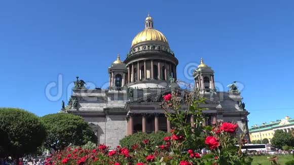 圣以撒大教堂背景下的红玫瑰俄罗斯圣彼得堡视频的预览图