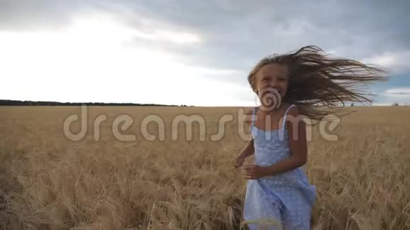美丽快乐的女孩长长的金发穿过麦田跑到镜头前带着微笑的小孩慢跑视频的预览图