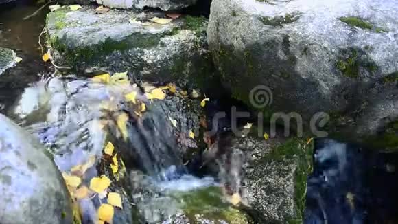水流过石头小瀑布视频的预览图