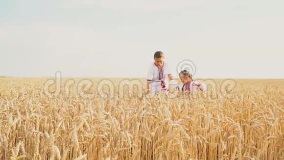 妈妈和宝宝正在吃小麦视频的预览图
