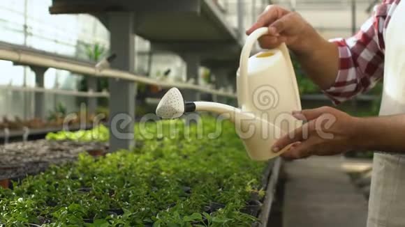 农民用罐子浇绿色植物热爱职业视频的预览图