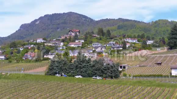 蒙特勒市附近的一座小山上有葡萄园的瑞士房屋景观瑞士视频的预览图