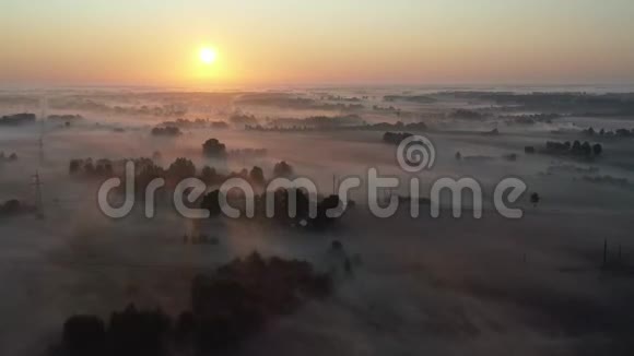 早晨的景色有神奇的金色雾气日出后的树林和田野空中视频的预览图