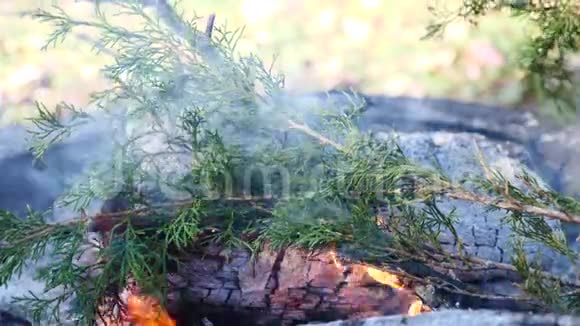 烧焦的树枝慢慢地捕捉火苗在火坑中特写院子碎片视频的预览图