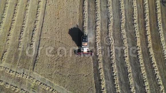从顶部可以看到一个收集玉米的植物农业和农业运动Drone的观点视频的预览图