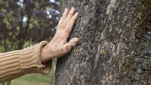 皱缩的雌性手抚摸公园树环境保护连接自然视频的预览图