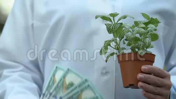 持有绿色植物盆栽和美元的女性生态学家视频的预览图