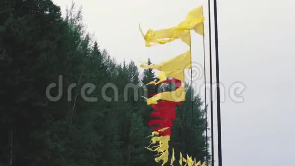 夏日的松林背景下旗杆上飘扬着五颜六色的横幅视频的预览图