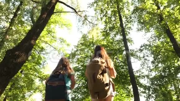 团队合作游客青少年快乐的女孩旅行者在森林里带着背包去徒步旅行者女人走在森林里视频的预览图