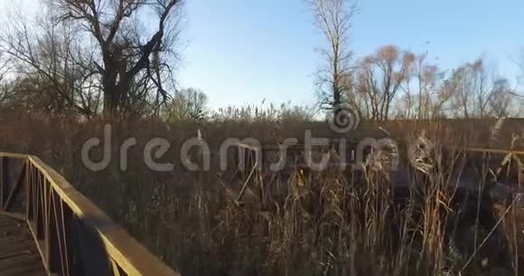 一张木板路和野餐桌周围是干燥的秋草周围是大自然和湿地视频的预览图