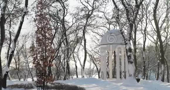戈梅尔白俄罗斯阳光明媚的冬季雪城公园里覆盖着雪视频的预览图