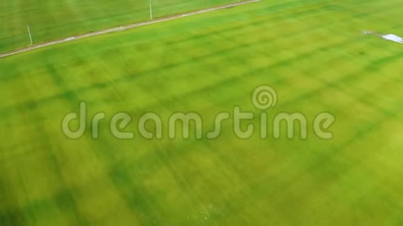 空中飞过一片绿色的草坪新鲜的绿草从顶部拍摄倾斜摄像机移动视频的预览图