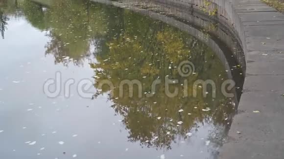 秋天的风景阴天时秋天树在水中的倒影视频的预览图