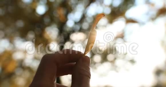 黄秋叶雄手顶太阳视频的预览图