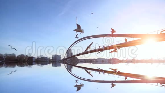 水上倒影桥景观鸟飞慢日落视频的预览图