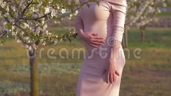 怀孕幸福的未来妈妈在盛开的果园散步时用未来的宝宝抚摸肚子视频的预览图