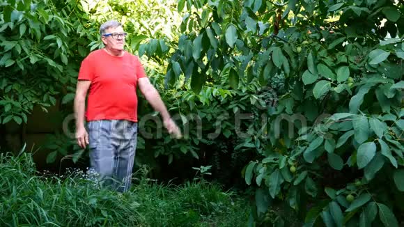 穿着休闲服装的老人也许是一个养老金领取者在后院或花园里做运动或体操使用视频的预览图