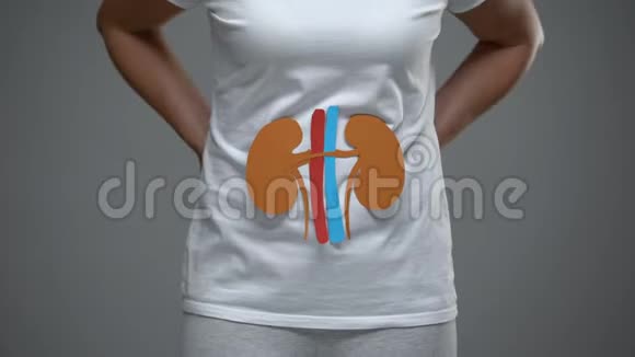 肾脏对女性身体的影响肾盂肾炎肾结石的预防视频的预览图