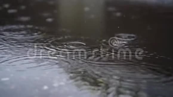 雨点落在城市的水坑里视频的预览图