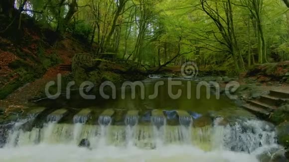 石姆纳河托利莫尔森林的台阶石视频的预览图
