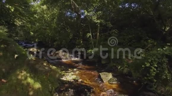 希姆纳河托利莫尔森林公园北爱尔兰科顿视频的预览图