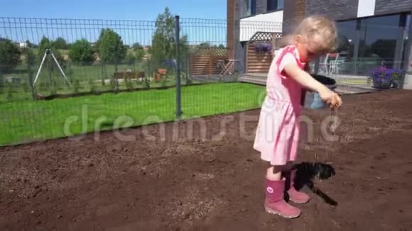 勤劳的小女孩在院子里的肥沃土壤里种新的草籽视频的预览图