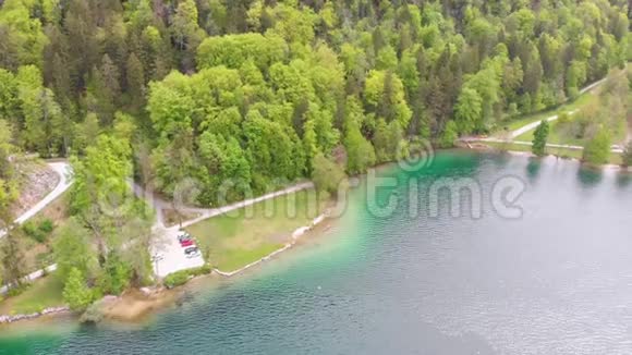 带绿松石清水和绿林的山湖景观视频的预览图