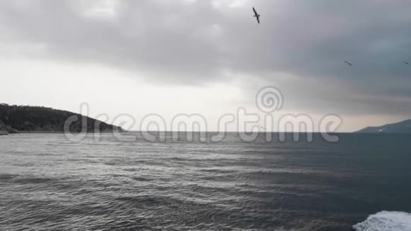 海鸥在公海上飞过游船视频的预览图