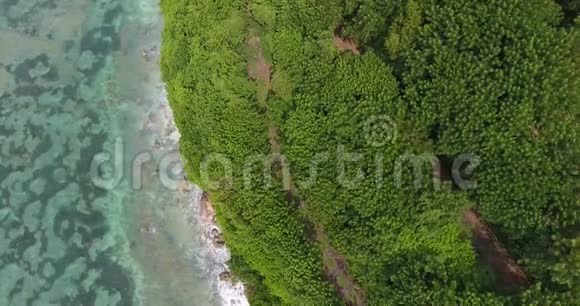 巴厘岛洛基海岸蓝色海水和树木覆盖海滩4k视频的预览图