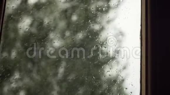 窗户上的雨滴树在风中摇摆视频的预览图