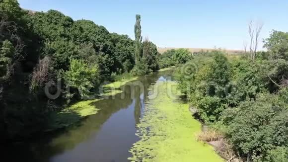 俄罗斯野生动物河流上游无人机射击视频的预览图