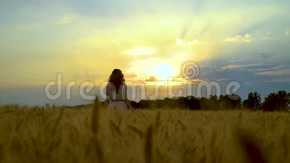 日落时分女人在麦田里漫步背景是天空视频的预览图