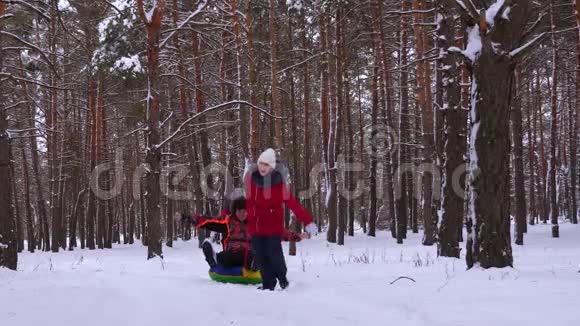 圣诞节期间家庭在冬季公园玩耍快乐的孩子们和冬天的父亲在雪地里雪橇和视频的预览图