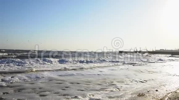 冬天海港的景色冬天的海上风暴海鸥在冬天迎风飞翔视频的预览图