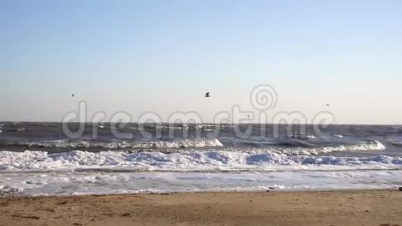 冬天的海在多风的冬季天气里在海上挥手冬天海鸥迎风飞翔在岸边视频的预览图