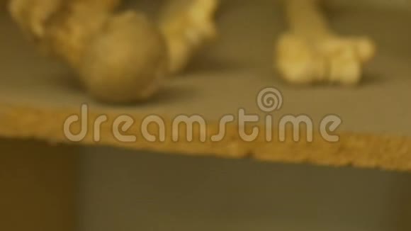古老的人类头骨牙齿视频的预览图