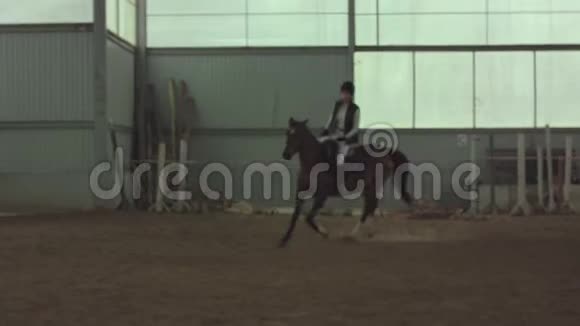 骑师骑着马奔驰视频的预览图