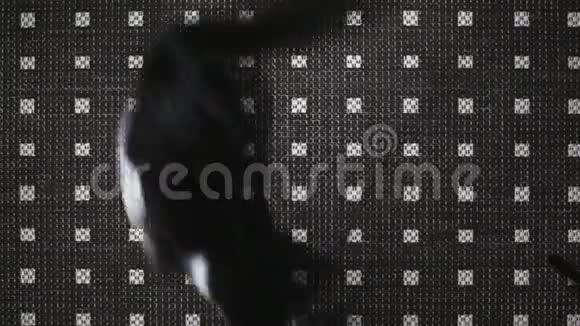 自制的黑白小猫在垫子上的绳子上玩绒毛上面的景色视频的预览图