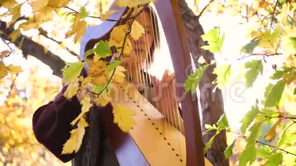 一个年轻的女孩弹竖琴她坐在秋天公园的一棵树下视频的预览图