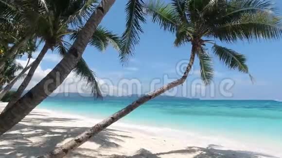 带棕榈树和蓝天的热带沙滩暑期和旅游度假理念Borac视频的预览图