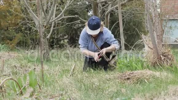 使用园艺工具在花园树木上剪干树枝的老年妇女视频的预览图