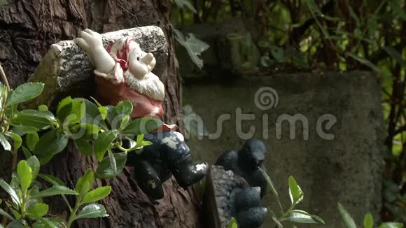 花园侏儒挂在树树干上视频的预览图