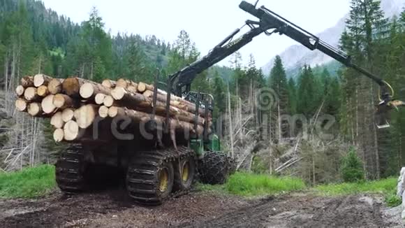 林木车树木收割机工作樵夫工业砍柴天气的后果山上的一阵风视频的预览图