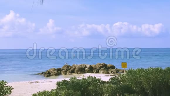 壮丽的无边大西洋景色可爱的海鸥站在蓝色海水环绕的岩石上视频的预览图