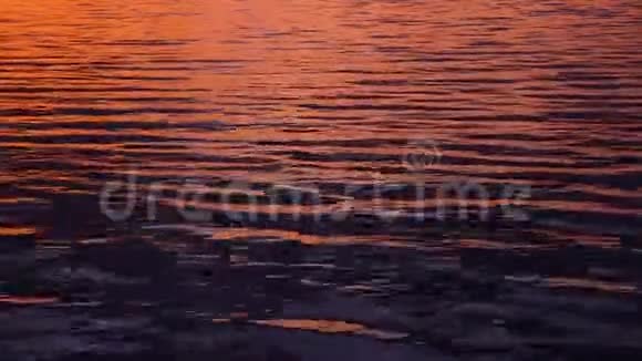 美丽的粉红色涟漪水域在水中反射日落光线水的背景它的纹理视频的预览图