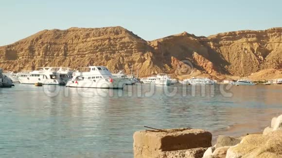 海滨浴场海岸上有船和游艇视频的预览图