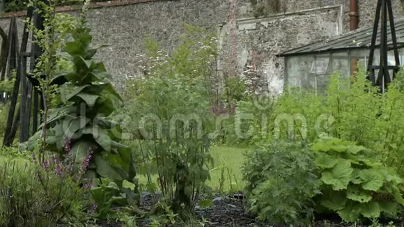 砖墙和温室旁边的花园视频的预览图